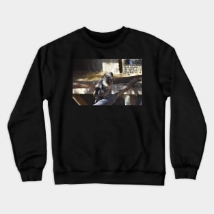 Hawk Crewneck Sweatshirt